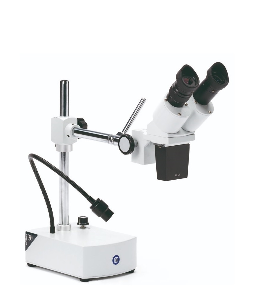 Euromex stereomicroscopen